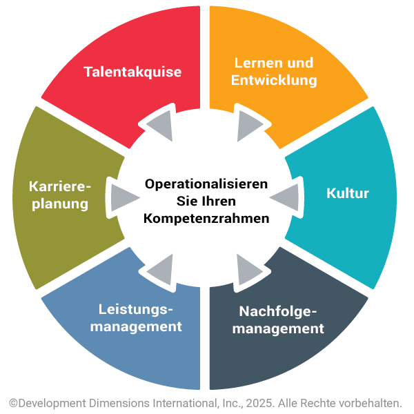 Ein buntes Rad, das unterteilt ist, um Schlüsselaspekte wie Kultur und Nachfolgemanagement zu beschreiben, die einen Rahmen für Führungskompetenzen funktionsfähig machen.